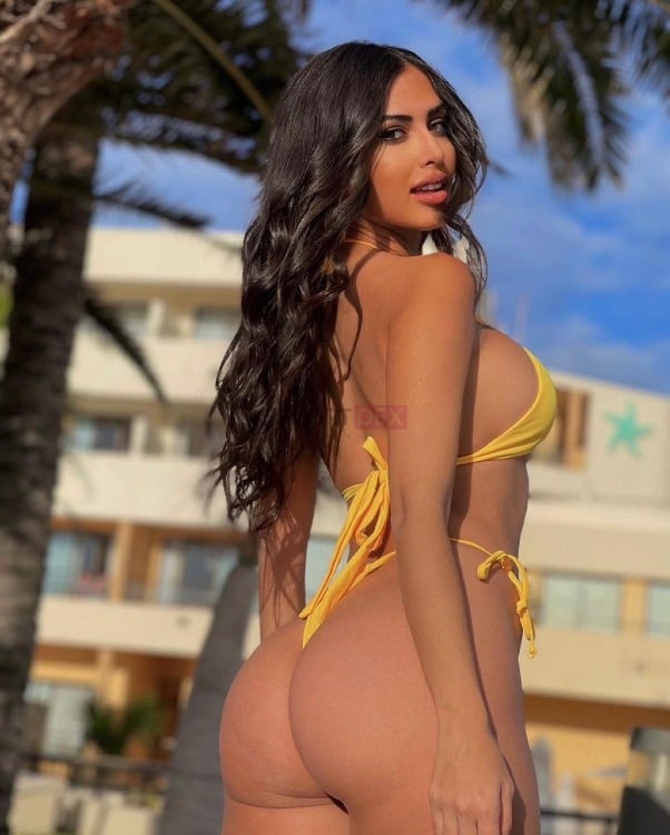 Stella